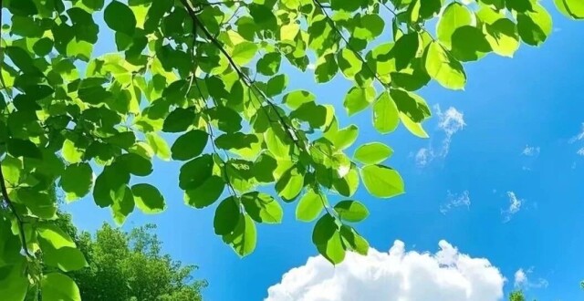 未来三天我省雨水减弱~~_腾讯新闻