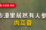 阴虚火旺慎入！补阳药膳必看！！_腾讯新闻