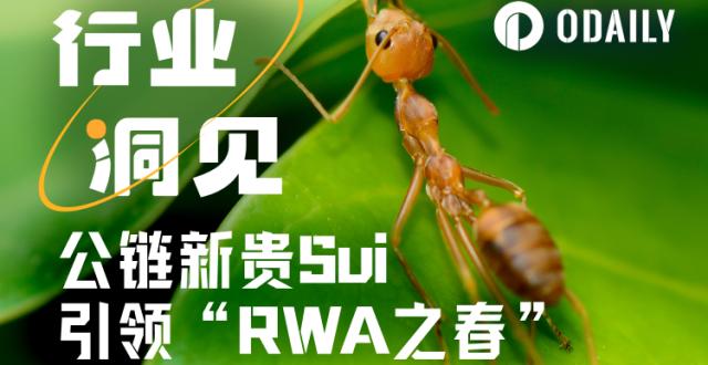 L1搏杀进行时，公链新贵Sui引领“RWA之春”_腾讯新闻