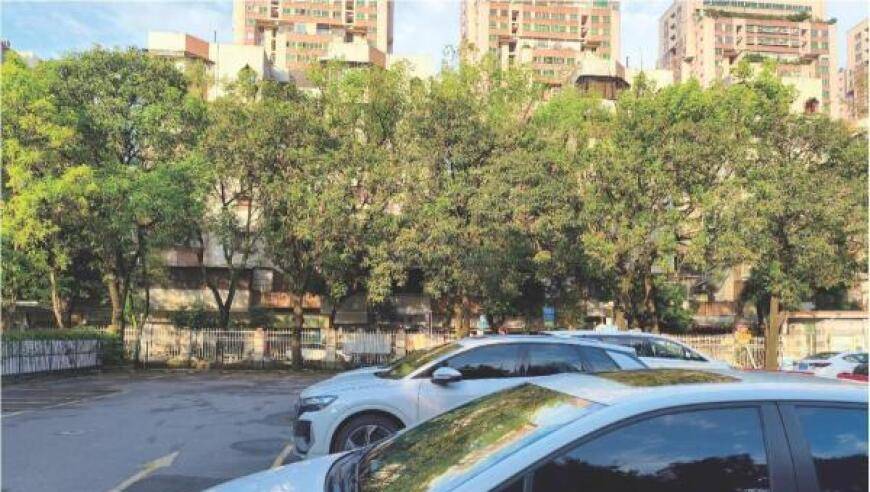 佛山距停车收费精细化改革还有多远?