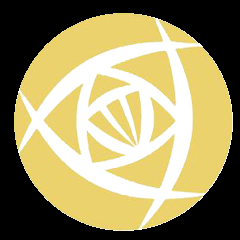 中女超 上海农商银行女足vs武汉车谷江大女足20250810