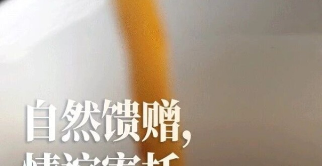 自然馈赠，情谊寄托_腾讯新闻