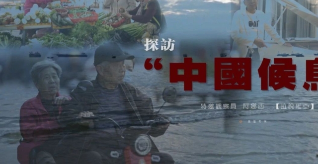 “养儿防老”已成过去时，“候鸟式抱团养老”成为新潮流？_腾讯新闻