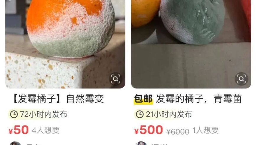 发霉橘子竟成二手平台“香饽饽”？专家紧急提醒！