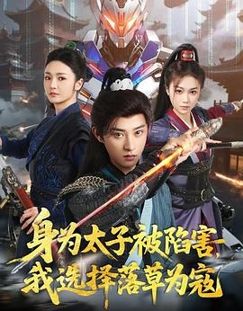 身为太子被陷害，我选择落草为寇