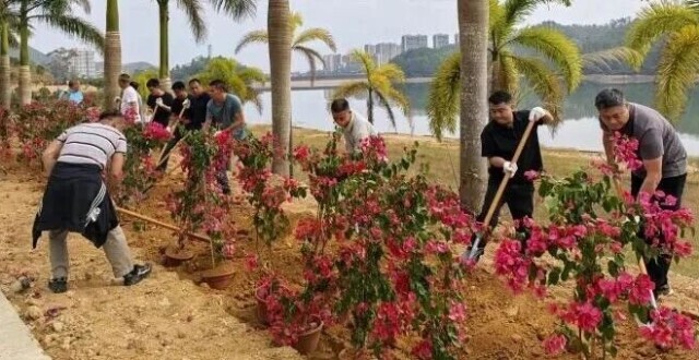 新班子、植新树、展新风！恩平新一届村党组织书记上好履新“第一课”_腾讯新闻