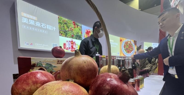 “特种兵”周末逛北京展览馆：一天吃遍整个山东_腾讯新闻