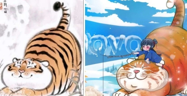 “橘猫”侵权“胖虎”！_腾讯新闻