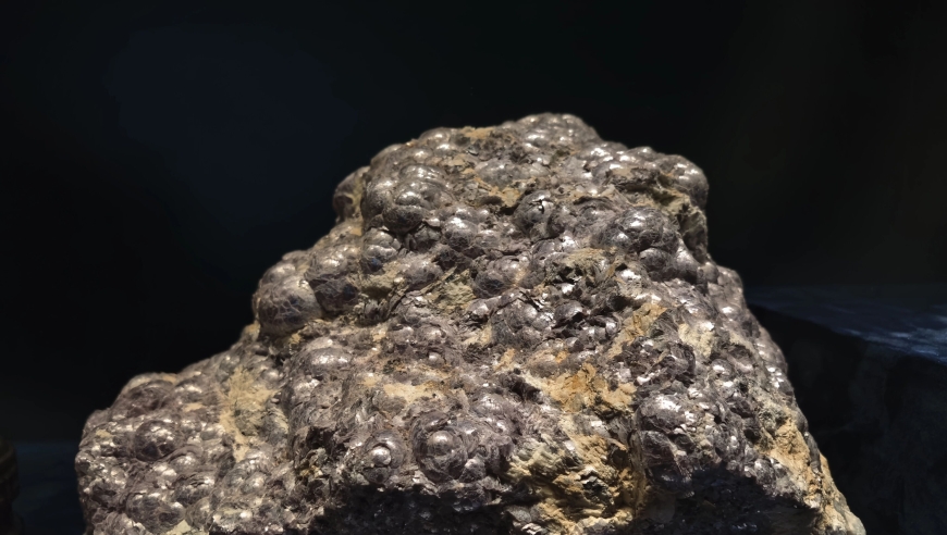 锂矿热潮下，绿色能源正在杀死巴西的蜜蜂？