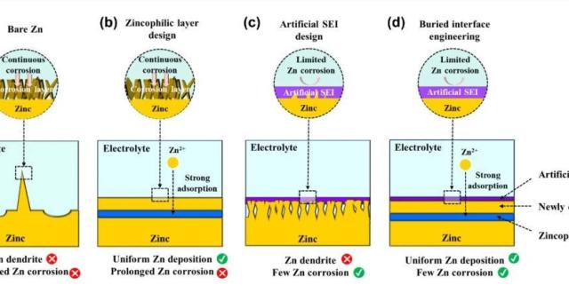 Science Bulletin | “锌”有灵“锡”！预埋亲锌Sn层助力高可逆无枝晶锌负极_腾讯新闻