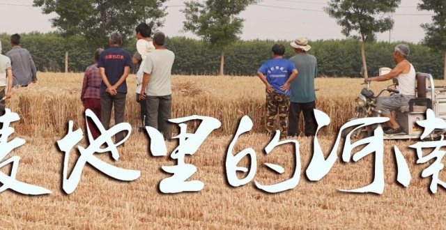 麦地里的河南_腾讯新闻