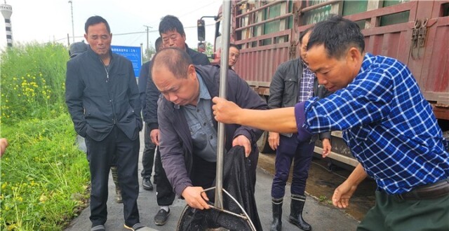 “以鱼洁水” 渌口区开展增殖放流活动_腾讯新闻