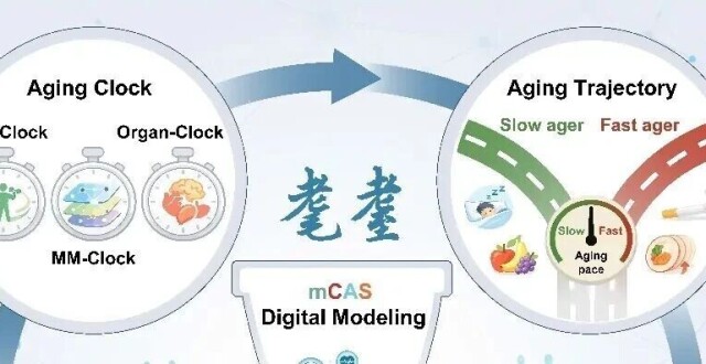 中科院刘光慧与合作者最新Cell：构建“衰老数字人体”_腾讯新闻