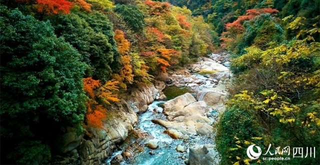 四川平武：红叶满山天地间_腾讯新闻