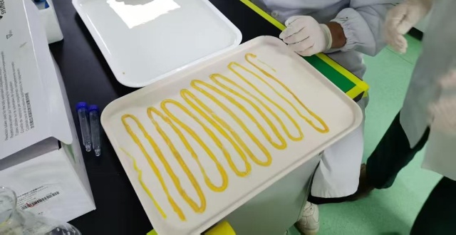 男子因长期食用生鱼片，感染阔节裂头绦虫，体内排出 4.5 米长虫，为什么能这么长？对身体危害有多大？