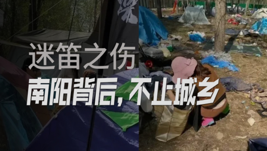 南阳迷笛音乐节被盗后的三种思考路径,你赞同哪一条?