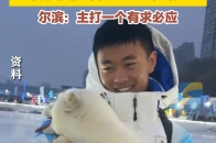 排队抱白狐不够抱？一车胖嘟嘟的白狐宝宝运往哈尔滨 尔滨：主打一个有求必应_腾讯新闻