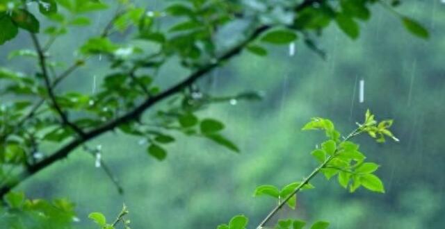 昨夜成都全市出现大雨33站、暴雨1站 今日早晚有阵雨_腾讯新闻