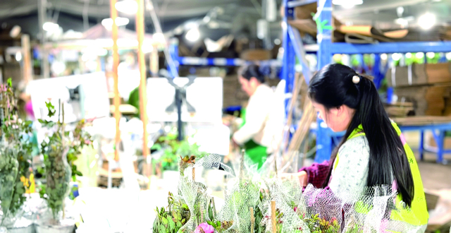 学习贯彻四中全会精神 | “海妈”的花园梦_腾讯新闻