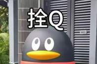 “栓Q”表情包现实版！腾讯QQ更新社媒：超强台风“桦加沙”马上就要到了，鹅已经把自己拴好了，大家也要注意安全，后续：绑不住了鹅走了_腾讯新闻