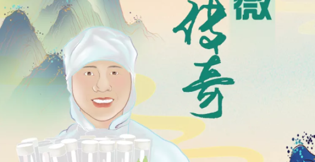 全球最大！这里保存着1.3万份野生稻种质资源_腾讯新闻