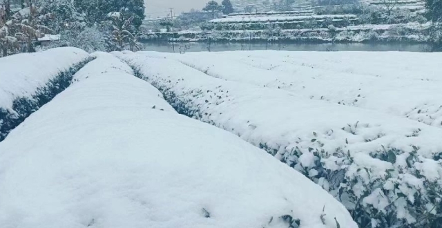 罕见，福建大范围降雪！提醒，最新高速管制信息_腾讯新闻