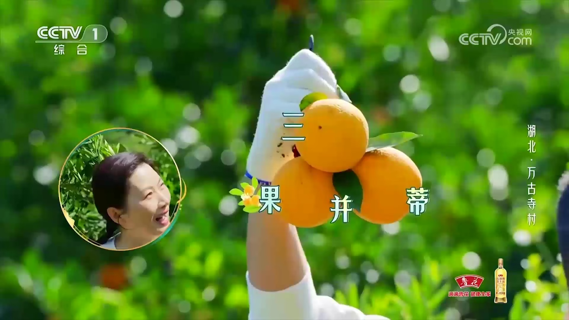 杨雨喜提并蒂橙还没捂热，下一秒尼格买提就收获了三果并蒂_腾讯新闻