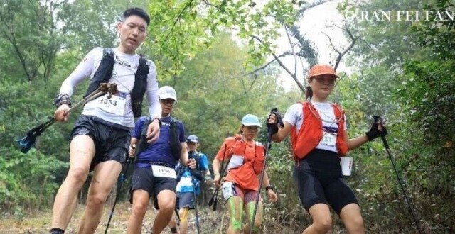 Site image of the bookmark