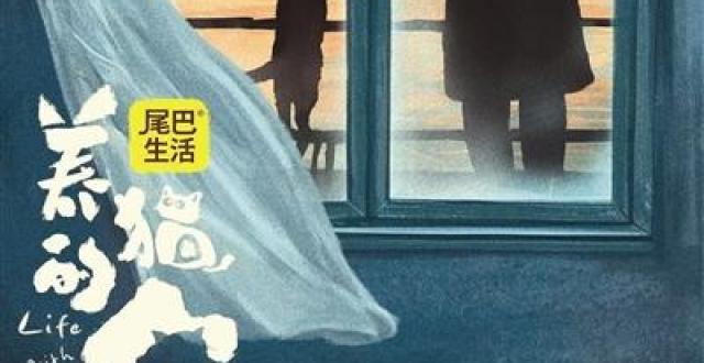 《养猫的人》展现治愈的力量_腾讯新闻
