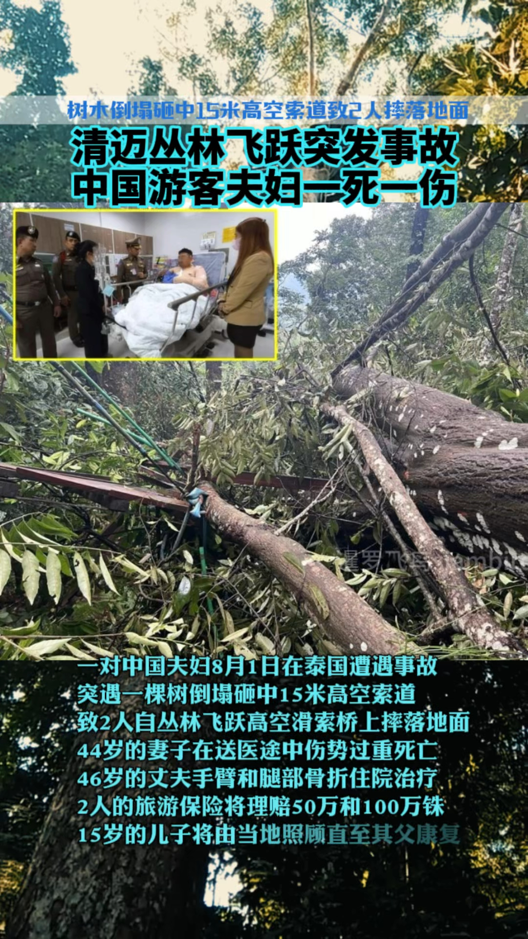 泰国清迈丛林飞跃突发事故,树倒砸中15米高空索桥,中