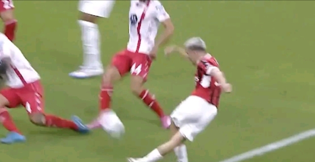 皮齐尼亚科