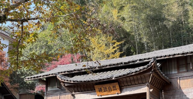 从湾里看南昌出圈秘诀：自然历史交融，激发城市活力提升消费能级_腾讯新闻