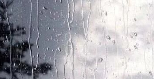 高温+降雨！锦州“蒸煮模式”马上开启！最高气温30℃！_腾讯新闻