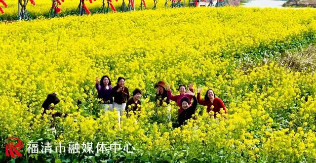 来江镜，赴一场春日之约！近300亩油菜花开了_腾讯新闻