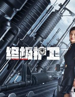 终极护卫