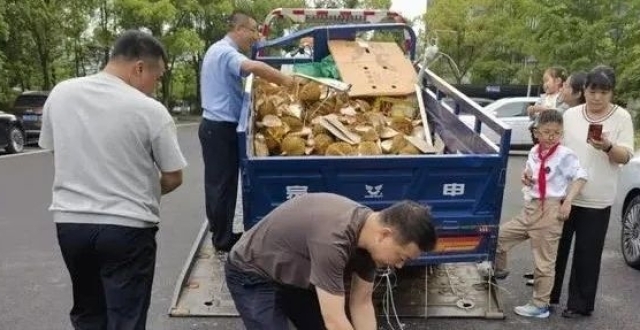 战友上班时间“公然摆摊”卖榴莲，工作群炸锅！_腾讯新闻