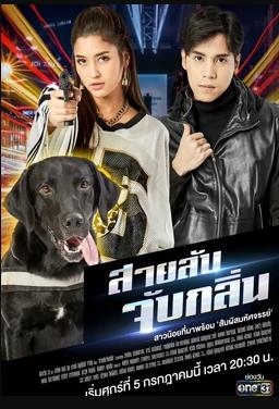 侦探K9普