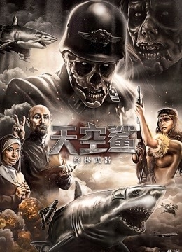 天空鲨：终极武器国语