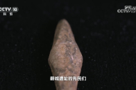 骨镞粗糙而又不失尖锐，是新石器时代的一种骨质的箭头，古人们常用以狩猎_腾讯新闻