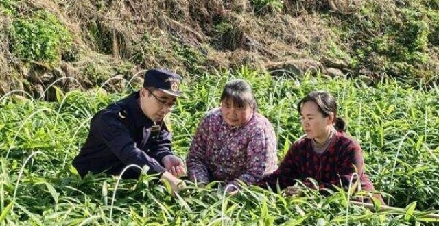 那个曾经怕庄稼生病的少年，成了国门检疫的“把关人”_腾讯新闻