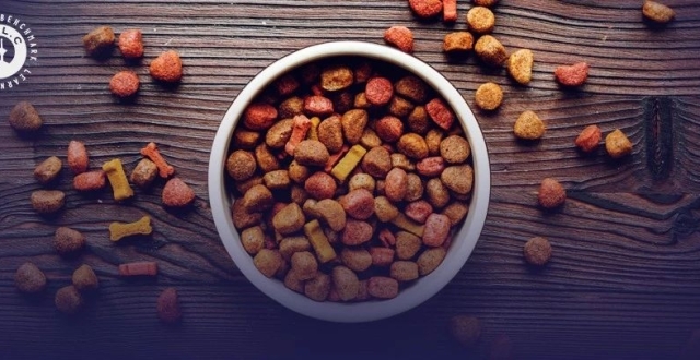中宠和乖宝，谁才是宠物食品一哥？_腾讯新闻