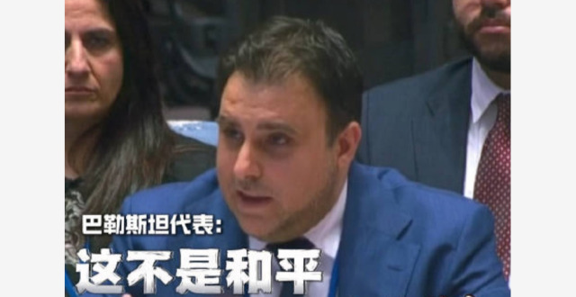 巴勒斯坦代表：死亡是我们唯一权利吗