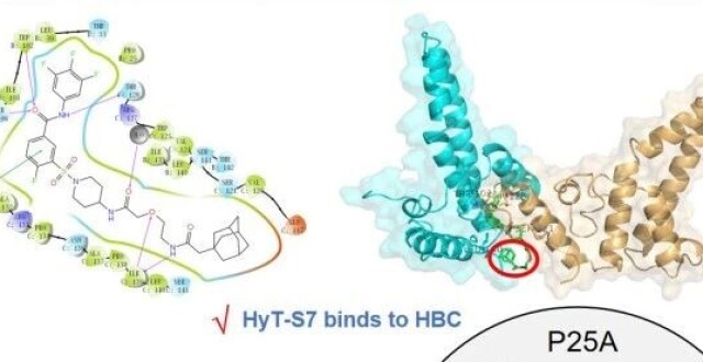 借力打力，愿“毒”服“疏”——利用宿主固有机制的HBV核心蛋白降解剂的创新探索_腾讯新闻