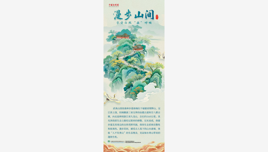 3个理由告诉你武夷山的烟火气为何如此动人！