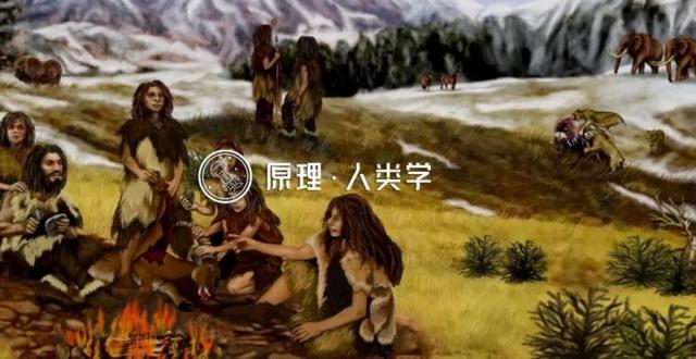 古人类的饮食结构特点是什么？吃肉，还是吃草？_腾讯新闻
