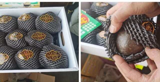 “藏乌梨”火了，专家却称“国内无此物种”，记者实验：梨皮是这样变黑的——_腾讯新闻