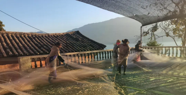 程海保护丨程海开湖啦！_腾讯新闻