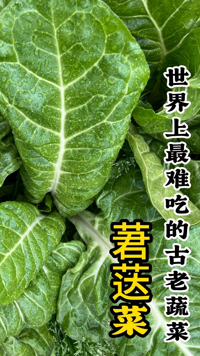 全世界最难吃的蔬菜为什么还有人种植？_腾讯新闻