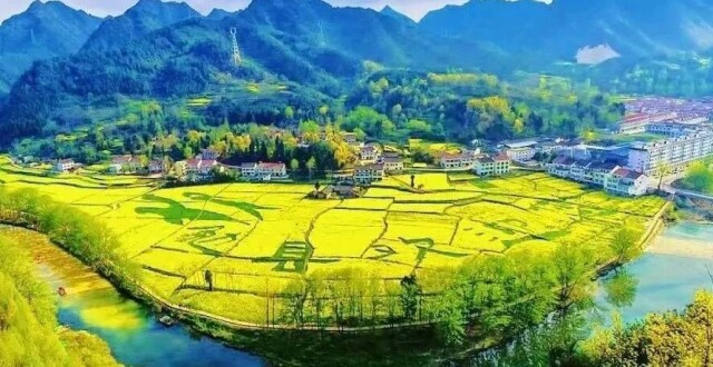 直播预告！2025最美油菜花海汉中旅游文化节启幕！_腾讯新闻
