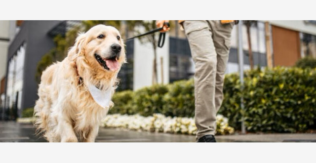 烈犬撕咬路人致死，狗主人辩称“狗咬死的，我没罪！”法院判了_腾讯新闻